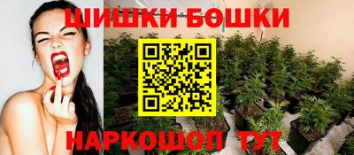 гидропоника Лесосибирск
